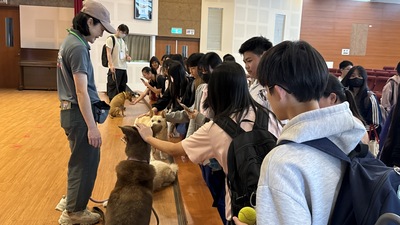 1150525-動物保護宣導圖片
